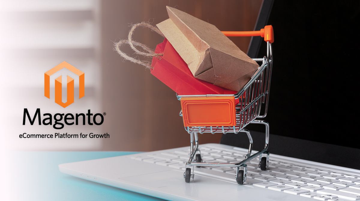 Making Your Magento 2 E commerce Store Immune to Security Threats
