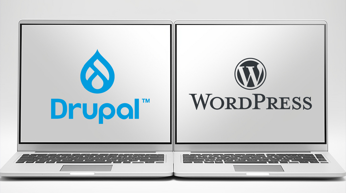 which platform should i host my website on – drupal or wordpress