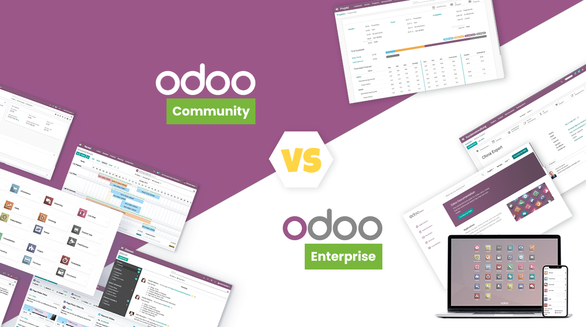 Odoo Community or Enterprise