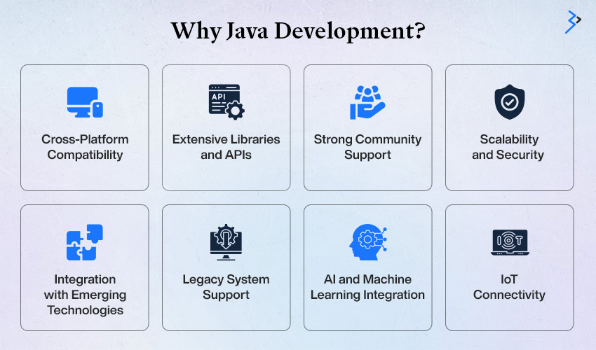 Why Java Development