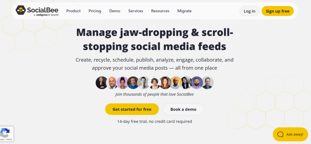 SocialBee