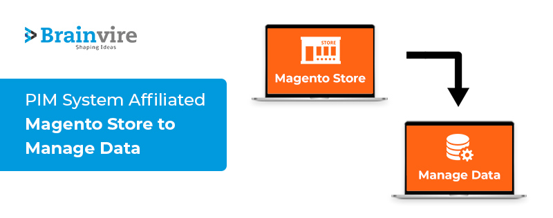 Magento Integration with PIM System Helped Sales Channels Streamline Data Management for a Power Tool Company